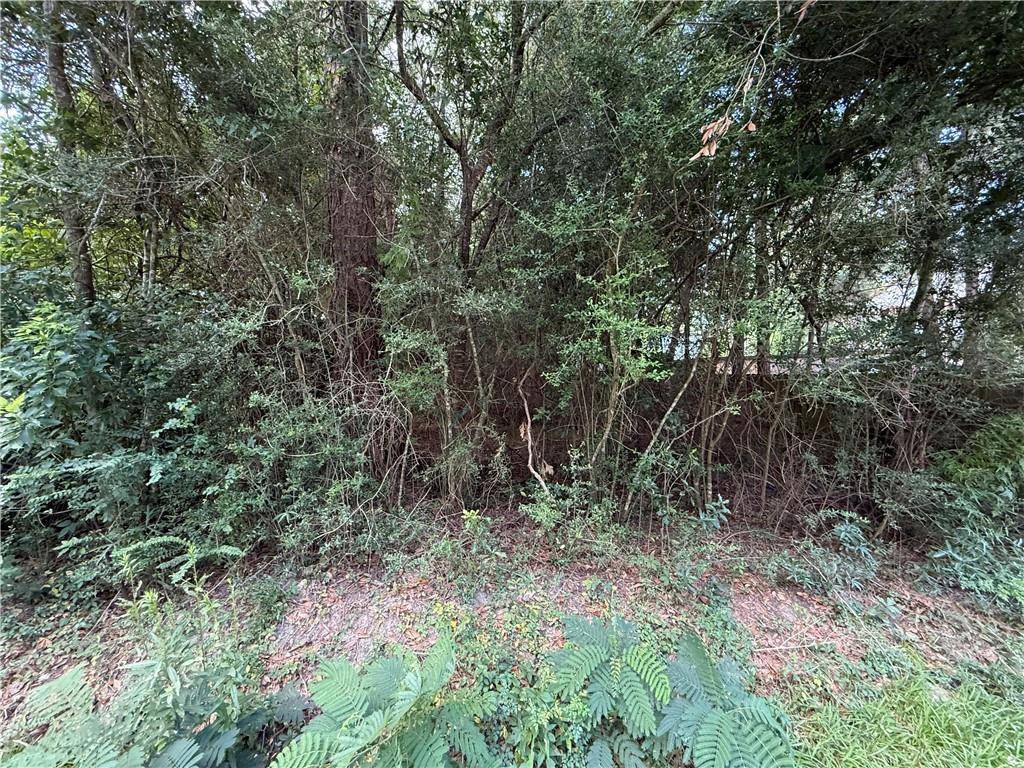 26028 E BIRCH ST, Lacombe, LA 70445