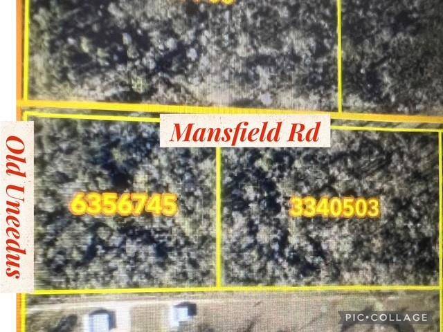 TBD OLD UNEEDUS RD, Loranger, LA 70446