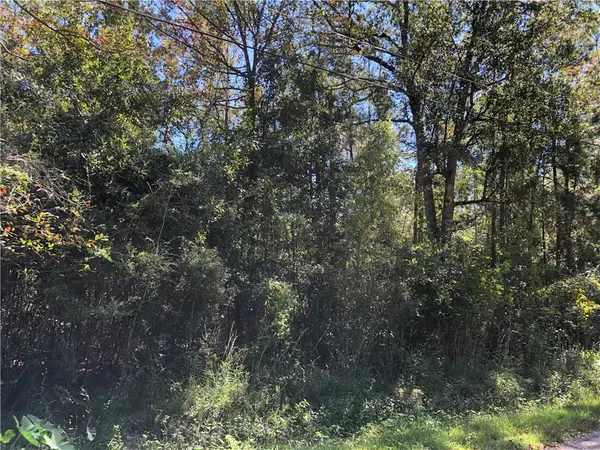 Lot 24 DURNIN ST, Lacombe, LA 70445