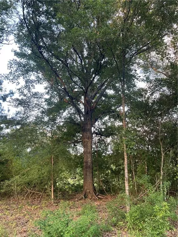 Hammond, LA 70403,17142 PARKER LN