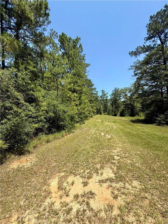 TBA LAKE CHOCTAW RD, Franklinton, LA 70438