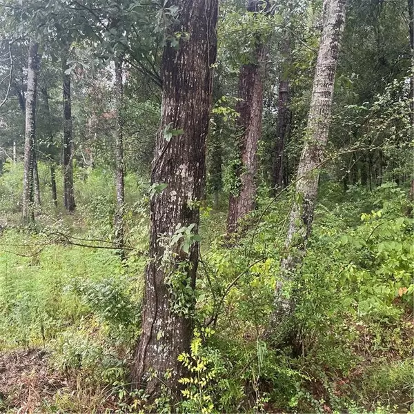 Abita Springs, LA 70420,Lots 1A & 12A SQ 8 ST. CHARLES ST