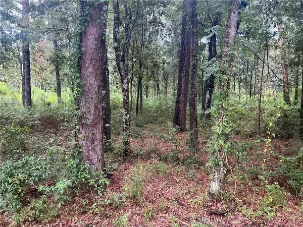 Abita Springs, LA 70420,Lots 1A & 12A SQ 8 ST. CHARLES ST