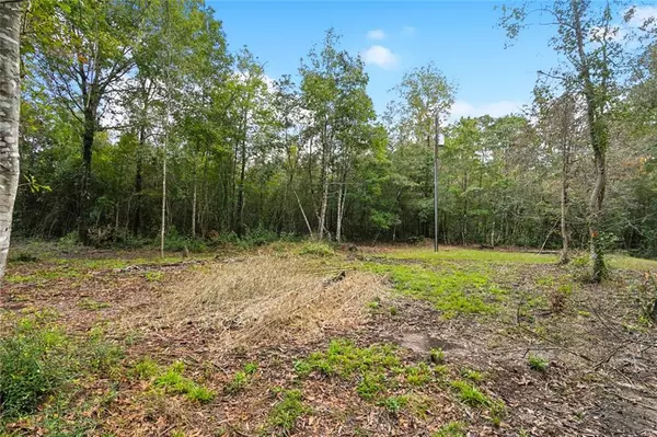 Bush, LA 70431,27350 HWY 40 HWY