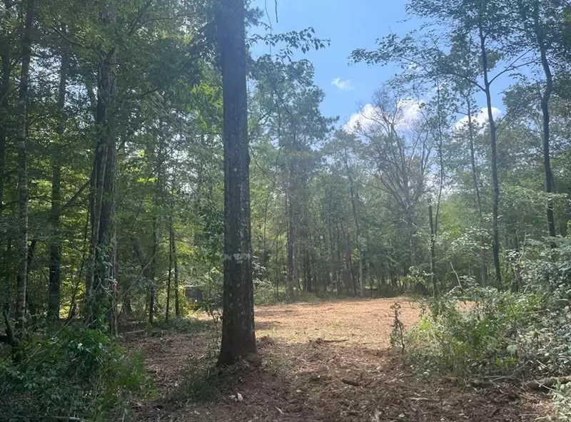 Folsom, LA 70437,87474 VINEYARD RD