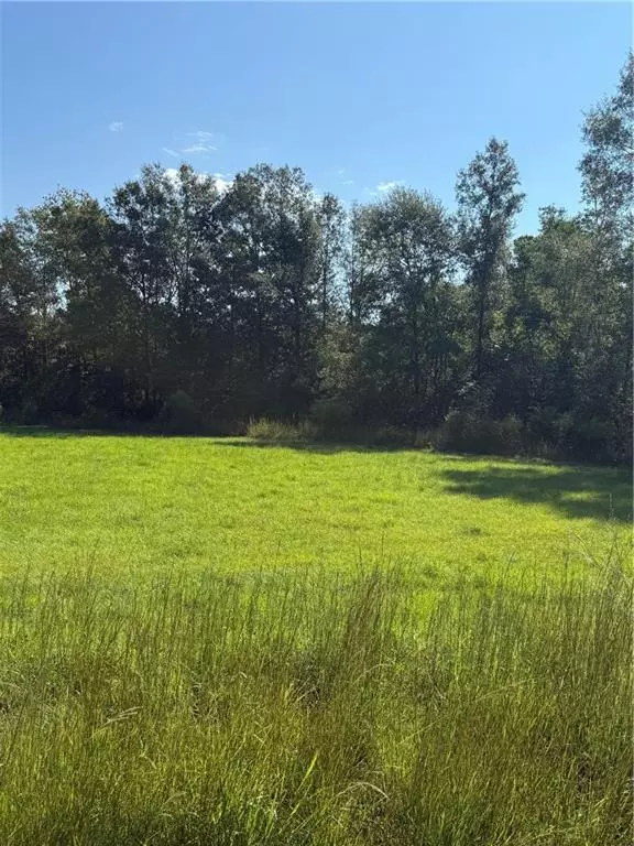 TBD RED HILL RD, Independence, LA 70443