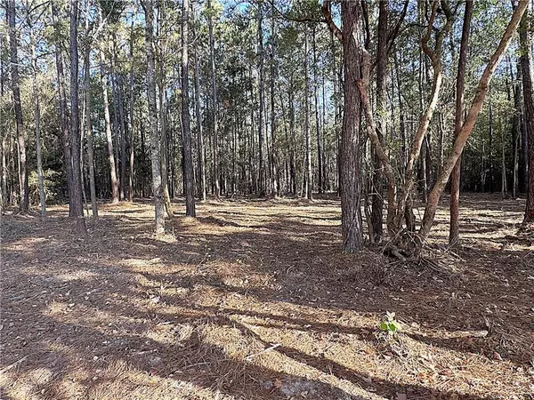 Covington, LA 70435,Lot B1 LAKE RAMSEY RD