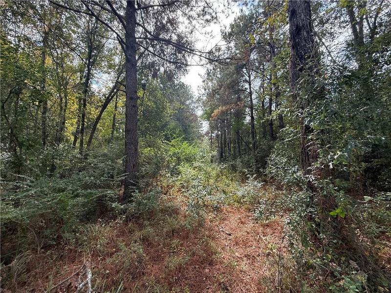 10 ACRES DOMIANO LN, Hammond, LA 70401