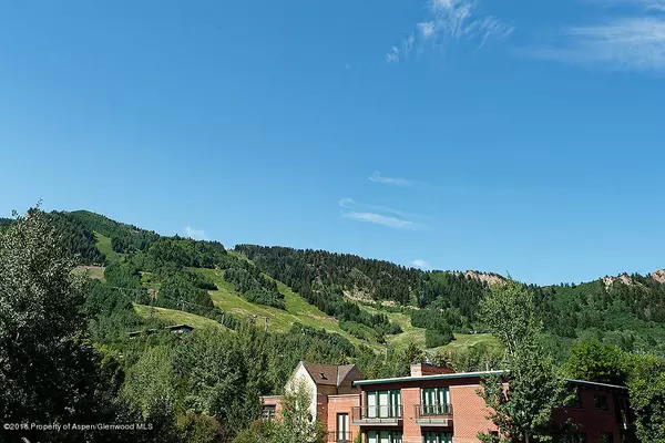 Aspen, CO 81611,803 E Durant Avenue #6