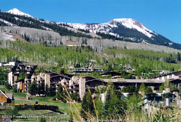 Snowmass Village, CO 81615,300 Carriage Way 203