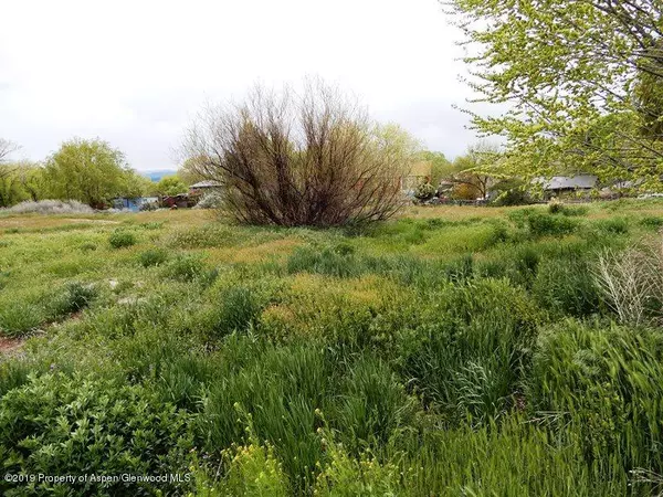 Silt, CO 81652,317 W Orchard Avenue