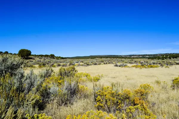 TBD State Hwy 318, Maybell, CO 81640