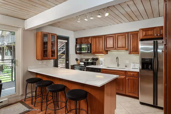 Aspen, CO 81611,1039 E Cooper Avenue #41