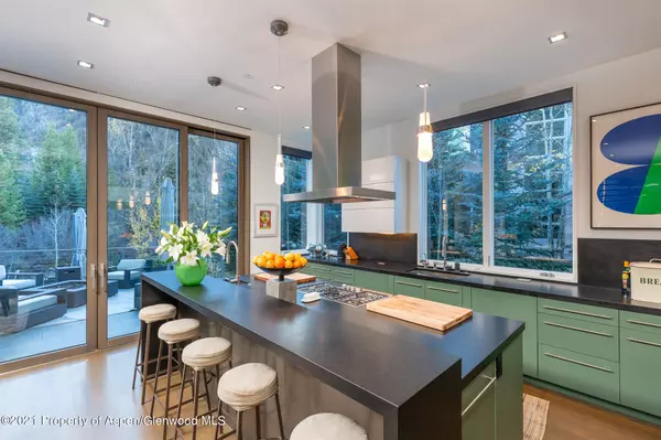 Aspen, CO 81611,79 Winter Way