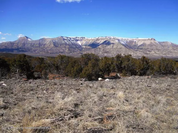 TBD Housetop Mountain Drive, Parachute, CO 81635