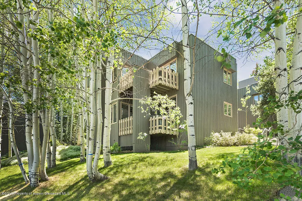 Snowmass Village, CO 81615,310 Meadow Ranch