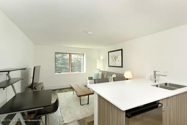 119 E Cooper Avenue Unit 27, Aspen, CO 81611