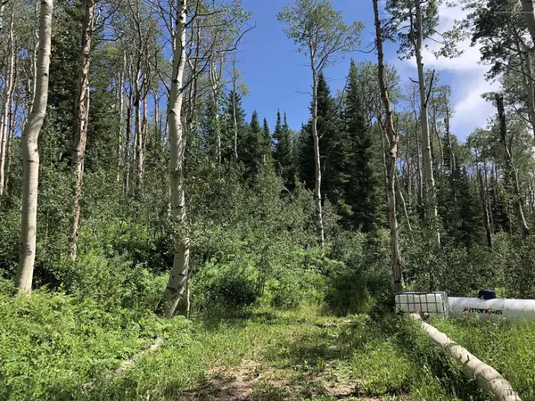 Craig, CO 81625,943 Routt Forest Drive