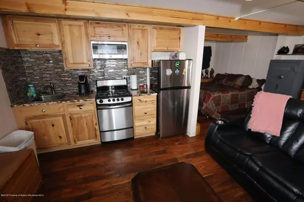 11101 Co Rd 117 Unit 4- F, Glenwood Springs, CO 81601