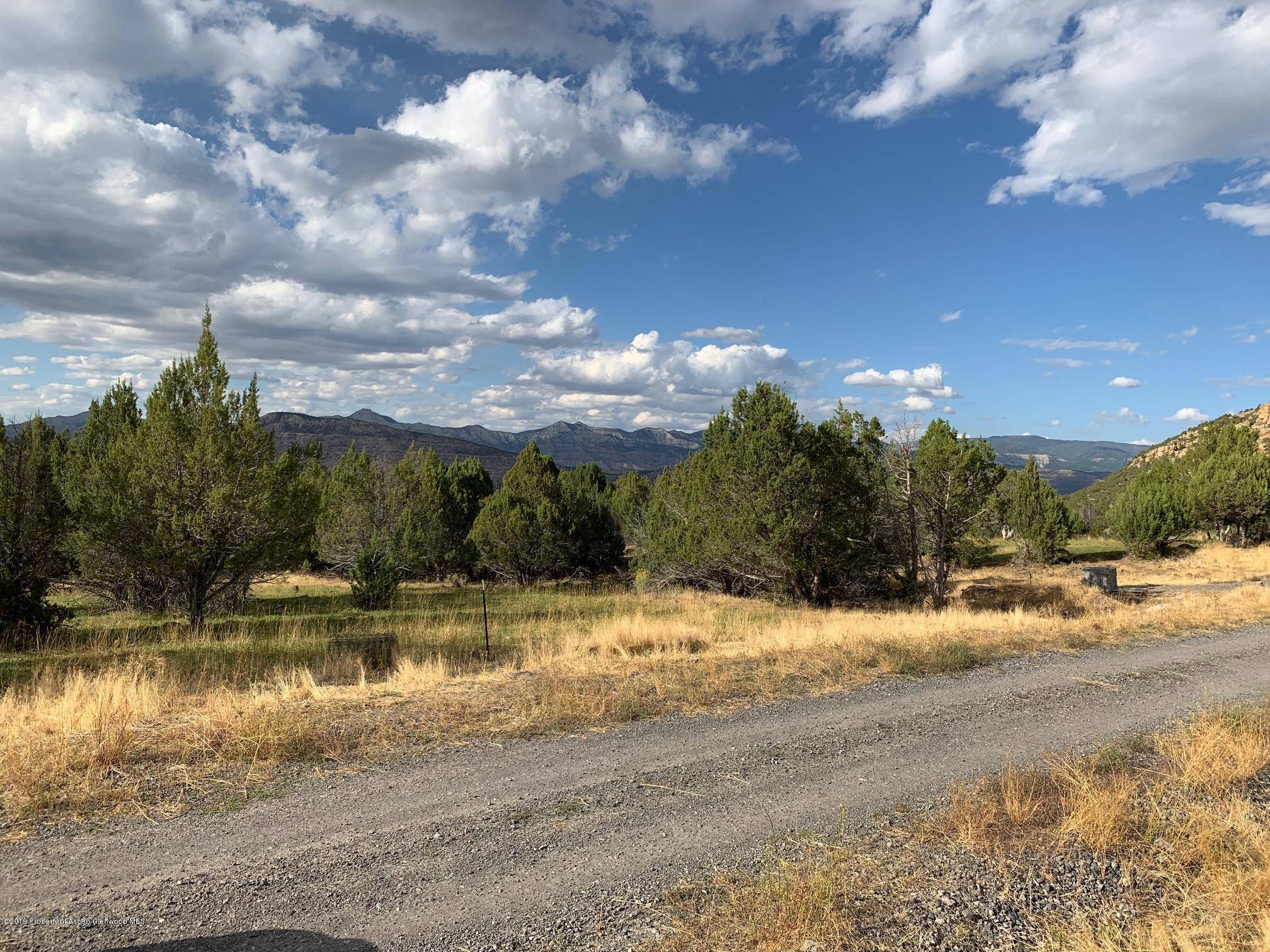 10787 52 1/2 Road, Molina, CO 81646
