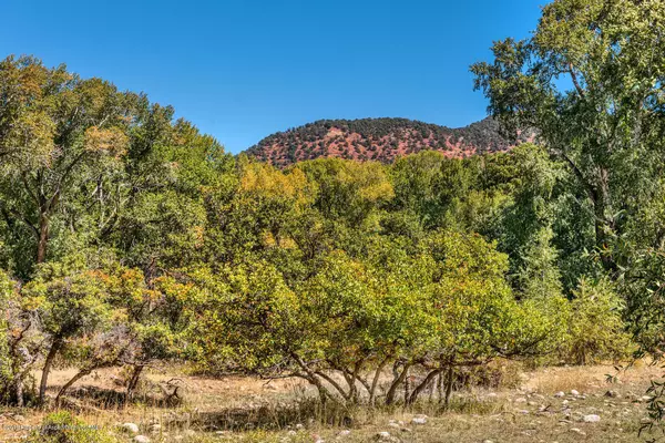 Basalt, CO 81621,407 Allison Lane