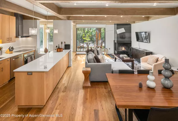 Aspen, CO 81611,1034 E Cooper Avenue 24