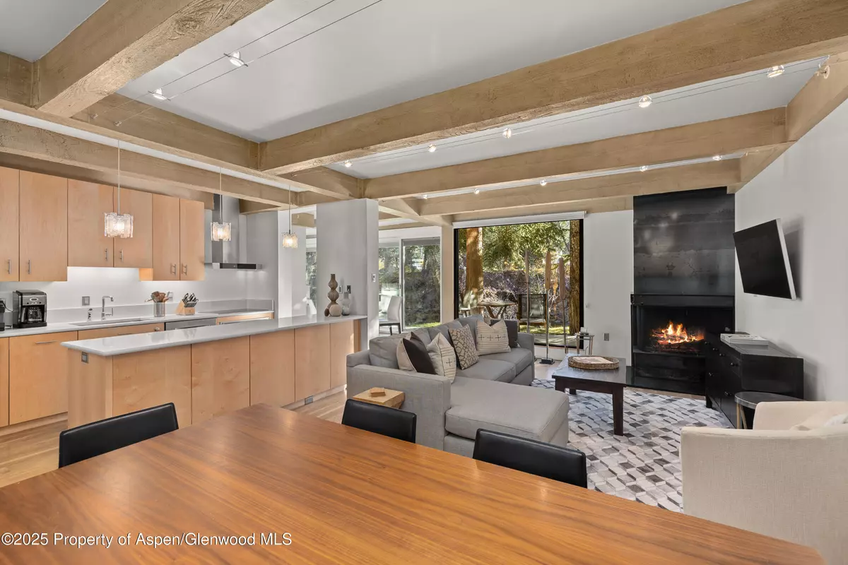 Aspen, CO 81611,1034 E Cooper Avenue 24