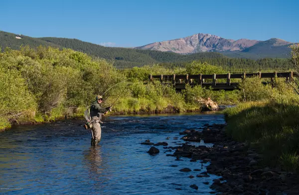 Leadville, CO 80461,1200 County Road 5