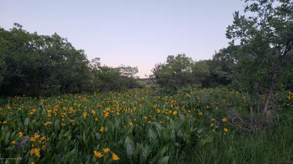 280 Eagle Loop Lot 768, Wilderness Ranch, Craig, CO 81625