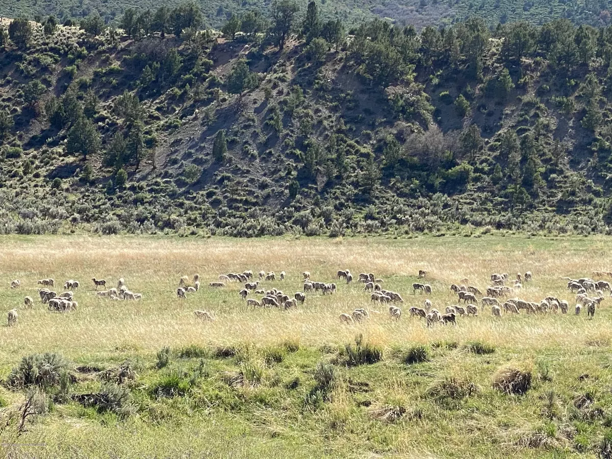 Rifle, CO 81650,00 W RIFLE CREEK Road