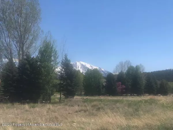 Carbondale, CO 81623,191 Mountain Meadow Road