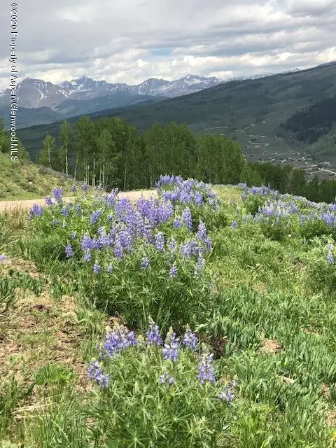 1250 (Lot 37) Red Mountain Ranch Road, Crested Butte, CO 81224