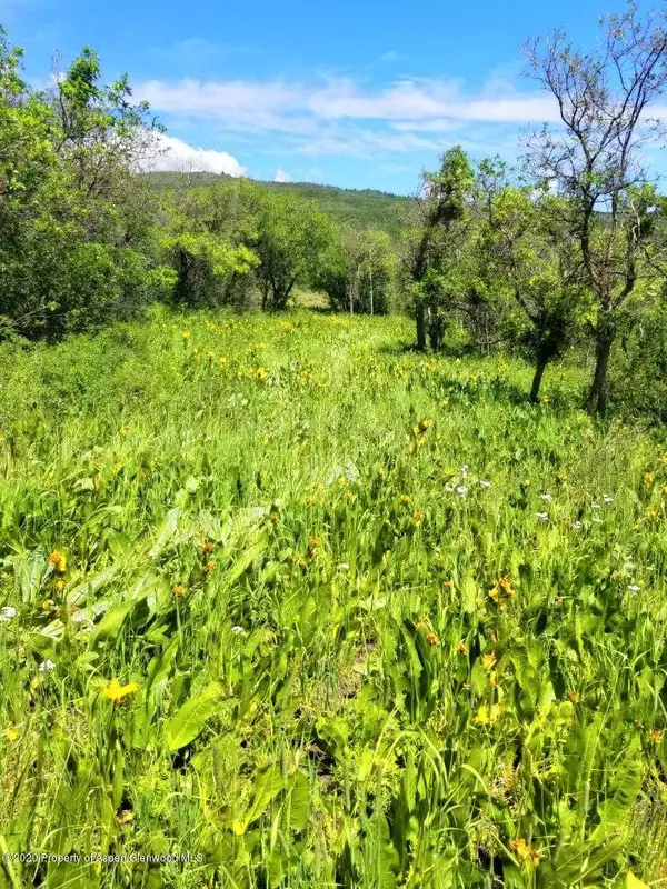 Craig, CO 81625,1673 SPROUT Drive