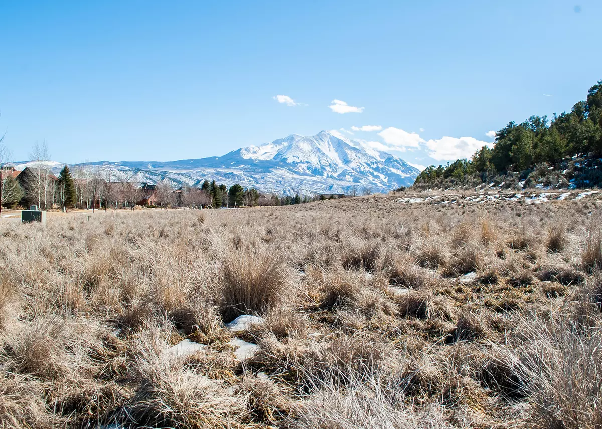 Carbondale, CO 81623,645 Perry Ridge