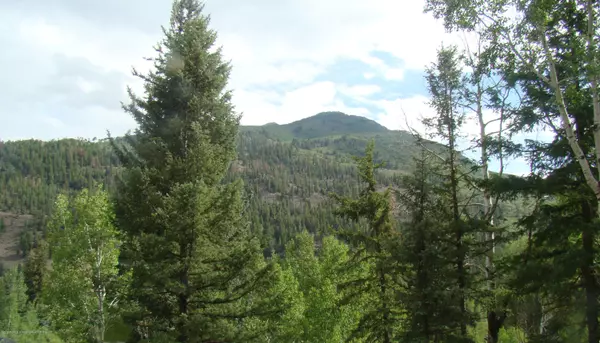 TBD Jasey Trail, Marble, CO 81623