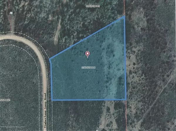 Craig, CO 81625,1585 Timberlane Loop Rd Lot 343