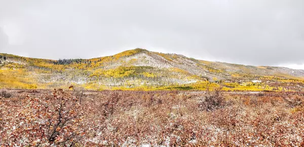 Hotchkiss, CO 81419,TBD 3100 Road