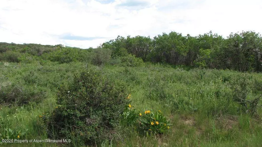 Craig, CO 81625,1600 Fiddleneck Drive Lot 47