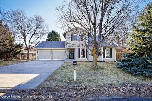 84 Ermine Lane, Carbondale, CO 81623