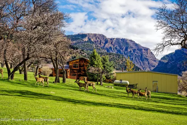 3125 County Road 241, New Castle, CO 81647