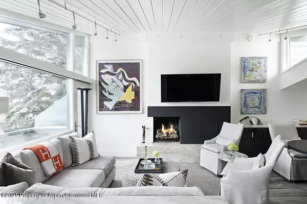 1001 E Cooper Avenue #2, Aspen, CO 81611