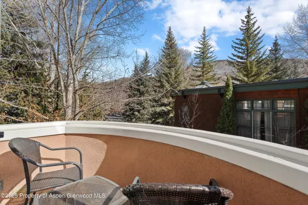 Aspen, CO 81611,777 UTE Avenue #6