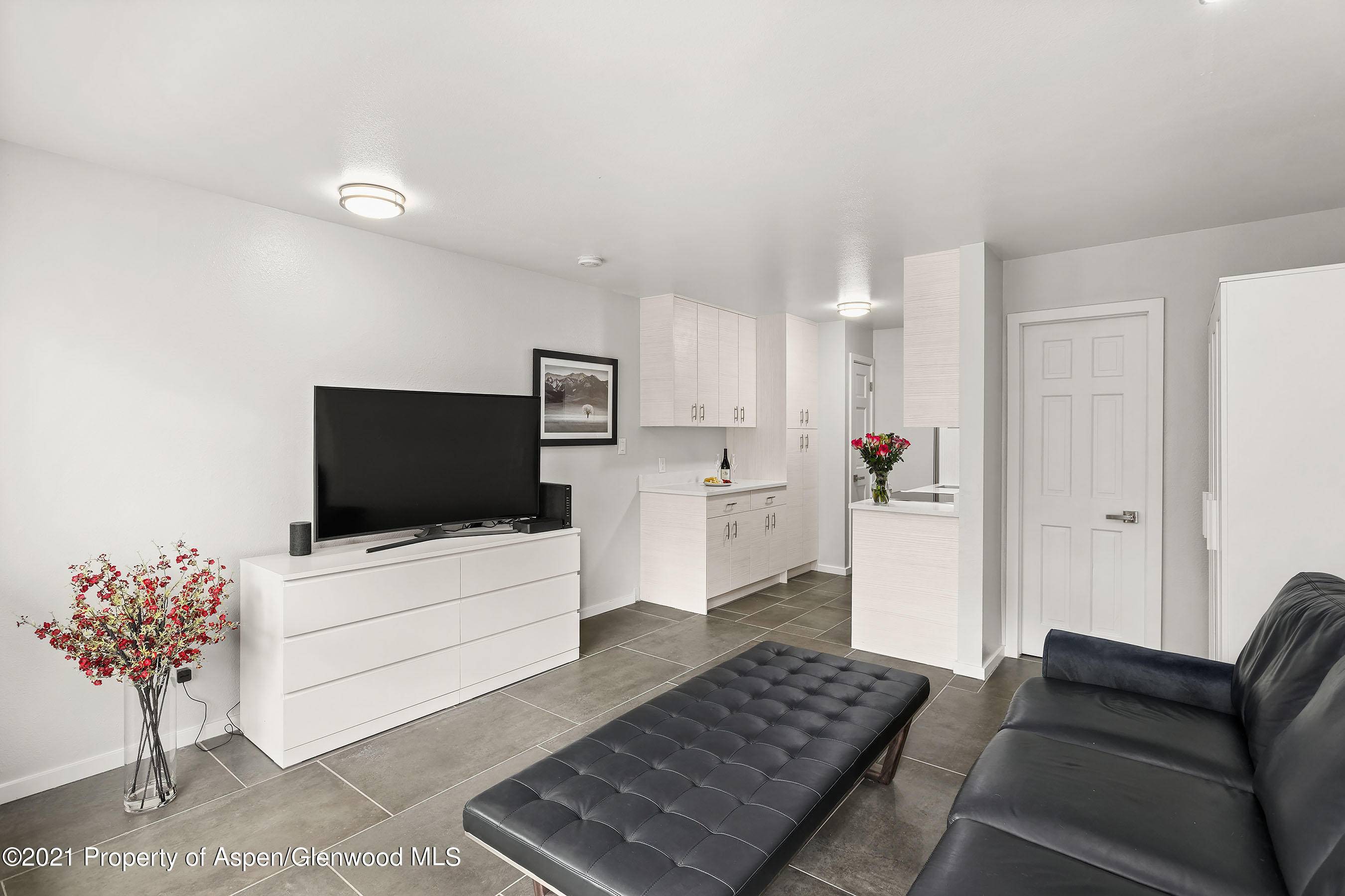 900 E Hopkins Avenue 7, Aspen, CO 81611