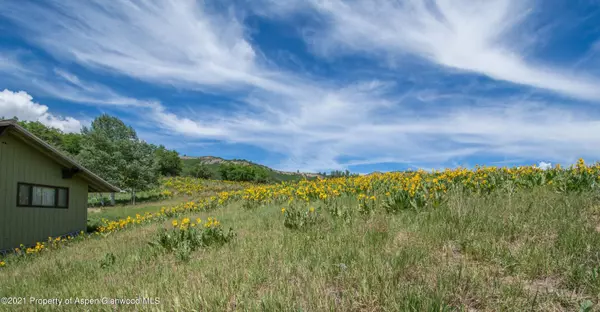 Snowmass Village, CO 81615,3861 Brush Creek Road