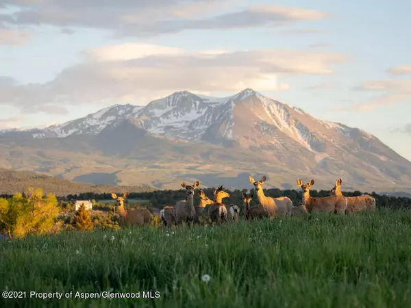 1900 County Road 103, Carbondale, CO 81623