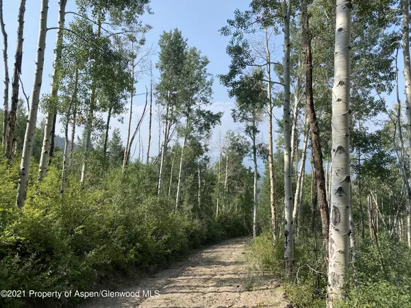 TBD Ragged Mountain Reserve Road, Marble, CO 81623