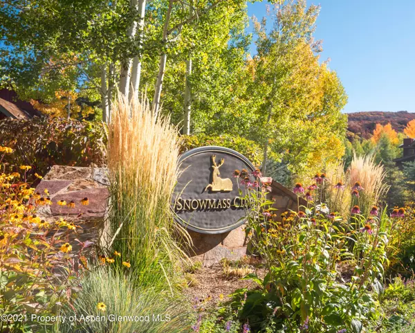 Snowmass Village, CO 81615,0239 Snowmass Club Circle 110