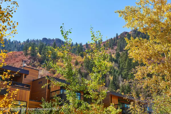 131 E Durant Avenue #208, Aspen, CO 81611