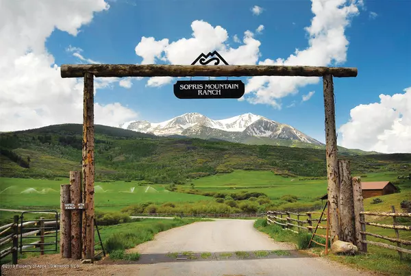 TBD W Sopris Creek Road, Basalt, CO 81621