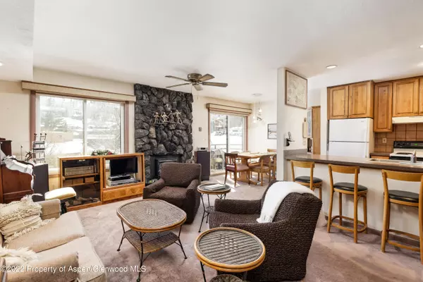 35 Lower Woodbridge Road 163, Snowmass Village, CO 81615